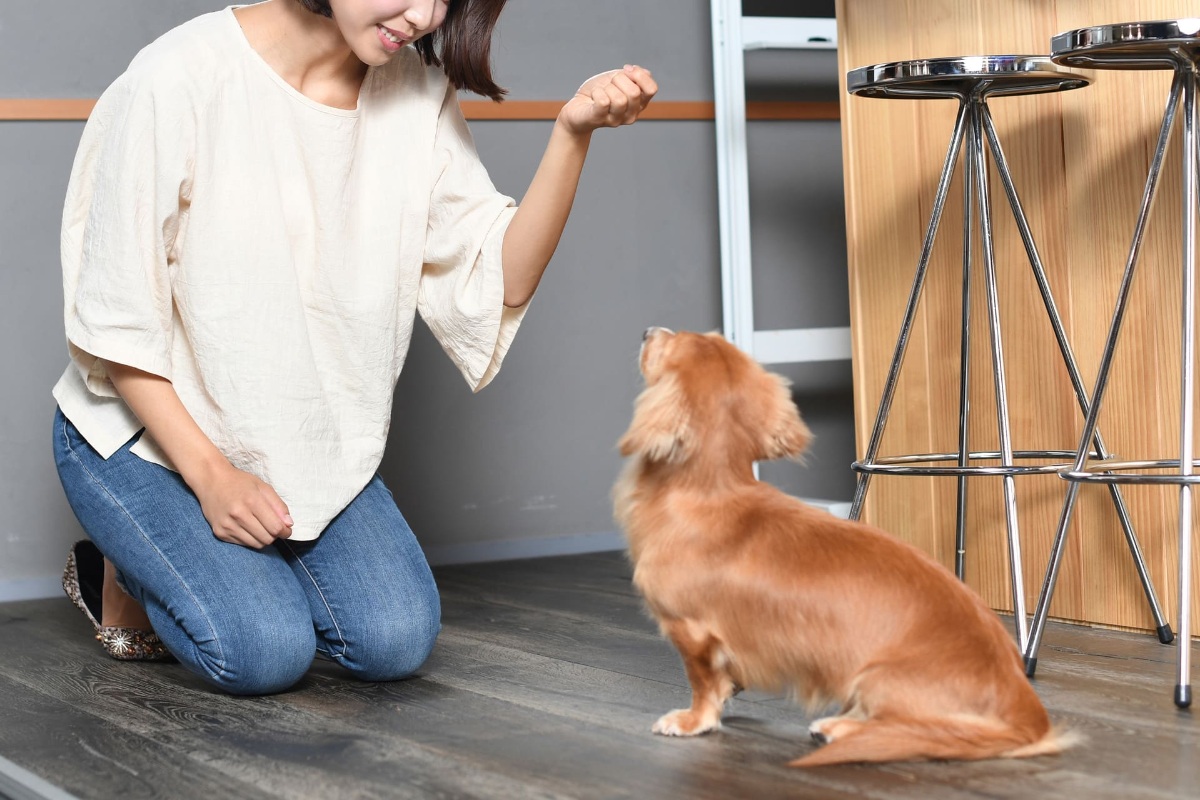 AdobeStock_216116113