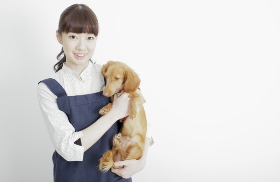 預かりの専門 | 東京都日野市のドッグスクールならDOG SCHOOL SORTE