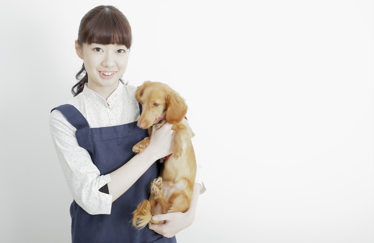 預かりの専門 | 東京都日野市のドッグスクールならDOG SCHOOL SORTE