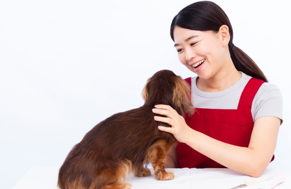 24時間の常駐 | 東京都日野市のドッグスクールならDOG SCHOOL SORTE