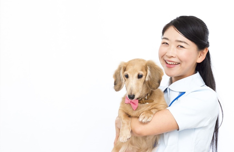 常駐スタッフが在籍 | 東京都日野市のドッグスクールならDOG SCHOOL SORTE