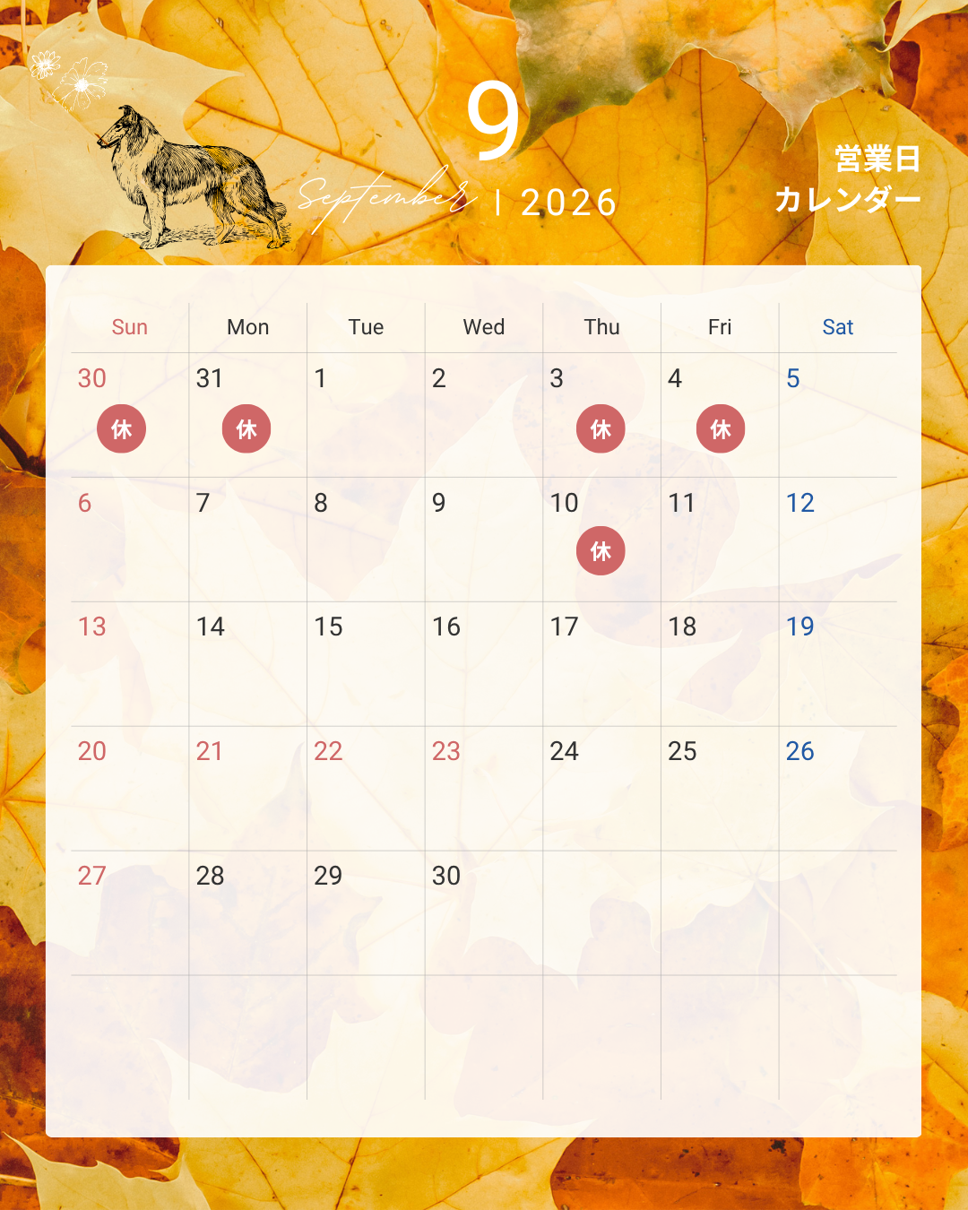 AdobeStock_267069464